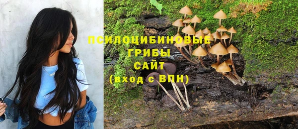 метамфетамин Козельск