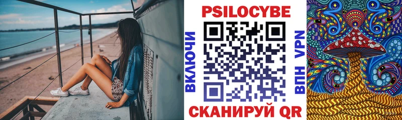 Псилоцибиновые грибы мицелий  Купить  Алагир 